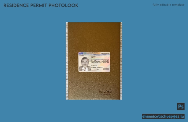 Beispielansicht einer Fotoprüfung für eine Aufenthaltsgenehmigung in Litauen